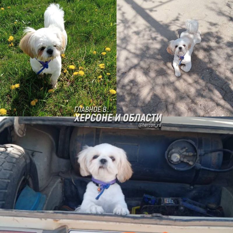 ����� � ������ ����� � ����, ������� ������!� � ���������� ���������� ������� � ��������