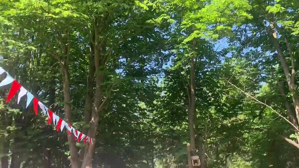 ����������� ���� � ����� � ���������� ������ �� ����������� �����! ���� ���� �������� ��������� � ������� ����� �����������