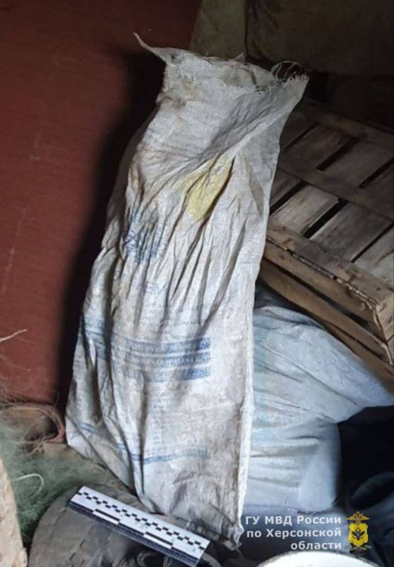 � ���� � ������ ������������ ���������� 250 ����� ���������