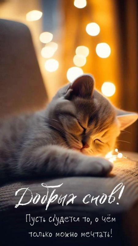 ������ ����. ������ �� ���������� ����� ��� ���� � ������� ����� ������� ��������. ��� �������. ����������� �� +18 ����� �� +33 ���