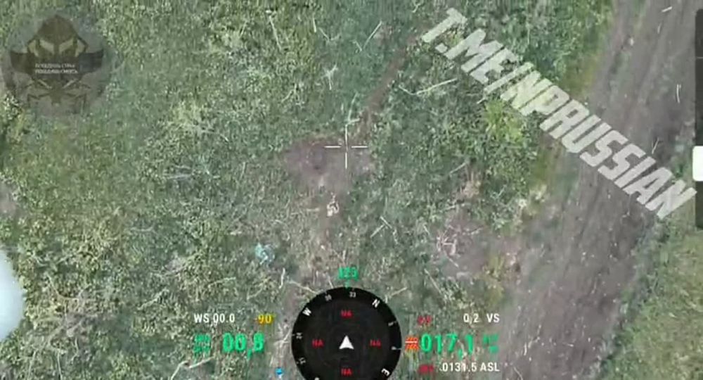 ��������� ������� ���������������� ��������