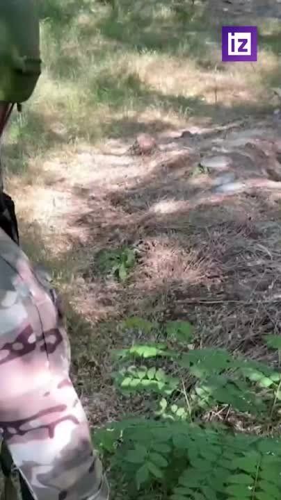 ����� ������� ������������ ������� � ���� "����������"