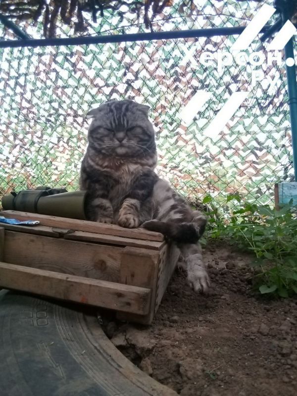 ���- �� ����� �������� ������ ������ �������������� � ���������� ���� � ������?