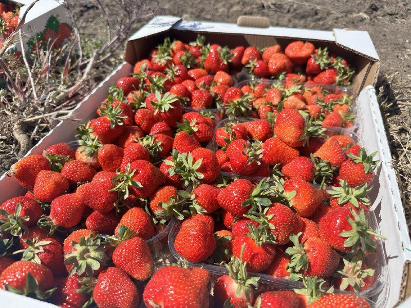 ������� ���������� ������� �������� ������ �������� ��������� ������