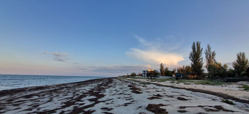 ������ �����, ������!. ������ ������� ���� ��������, ����� �� ���� �������. �������� ��� �������� � �����. ���� �������� � ������������� ����������