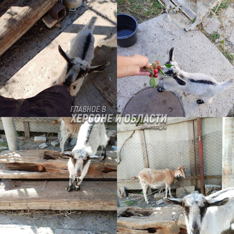 ������ ����� ����� ������� �� ���������