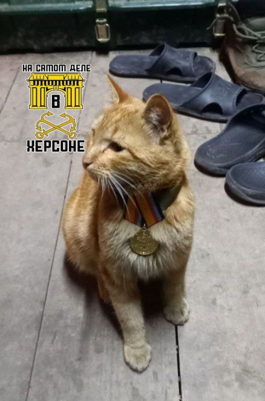 ������ ������� ����� ������ ����� �������� ������ �� ���� �������