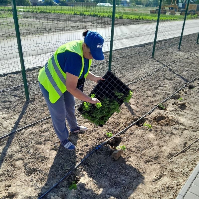 В Алешкинском округе ликвидированы 13 стихийных свалок за время санитарного марафона