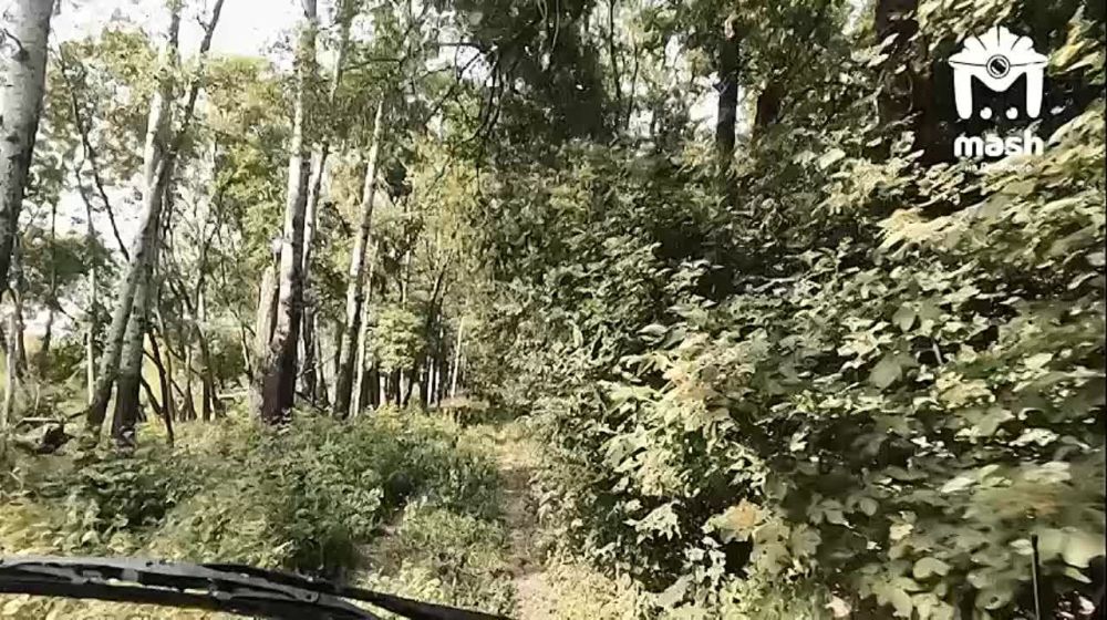 ������ � ����� � �����, ����� �� ����, ���� �����������, ������ �� ������� ����, � �� ��� � ������ ���������� ���������������