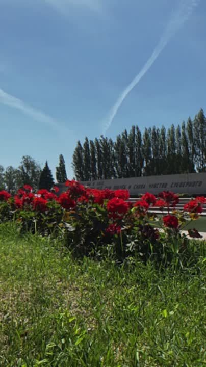 ��������� �� ���������� �������, ������� ������ �������� � ��������-���������� ������ ���������, �������� ��������������������� ����������