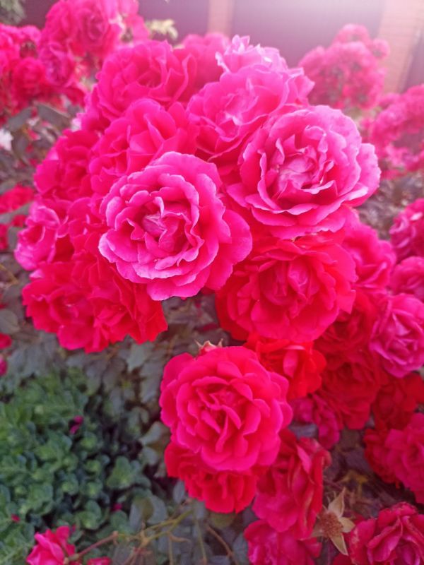 ���� �������� � ���������� ������� ��� �� �����������