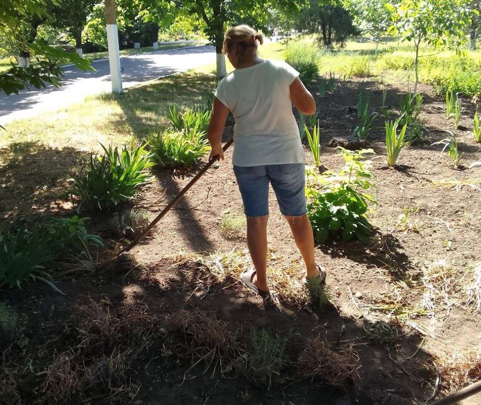 ��������������� ���� �������