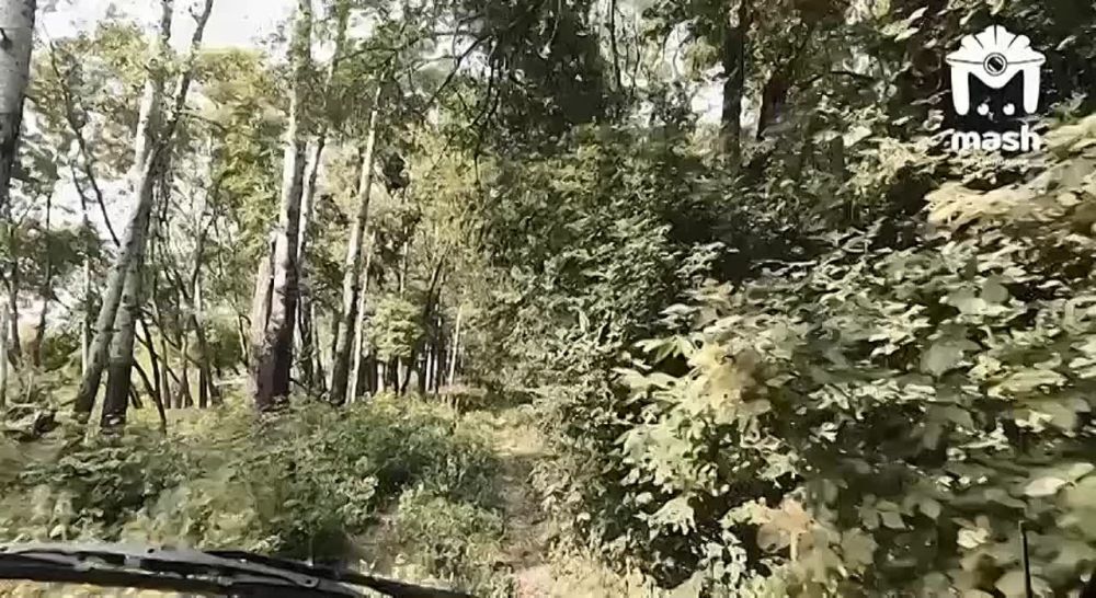 �� ��������������� � �����