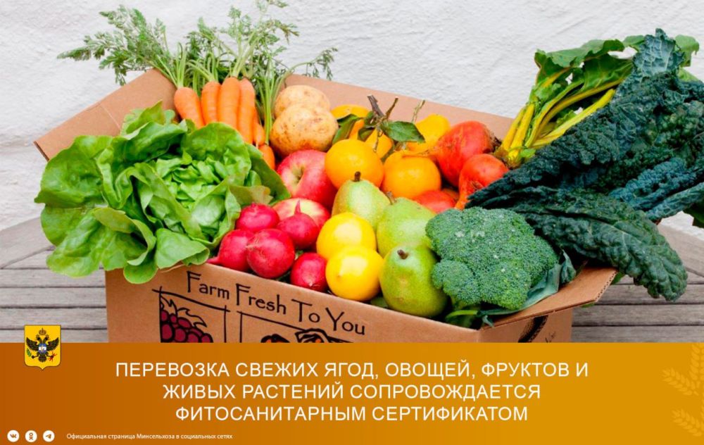 ������� ��� ���������������������