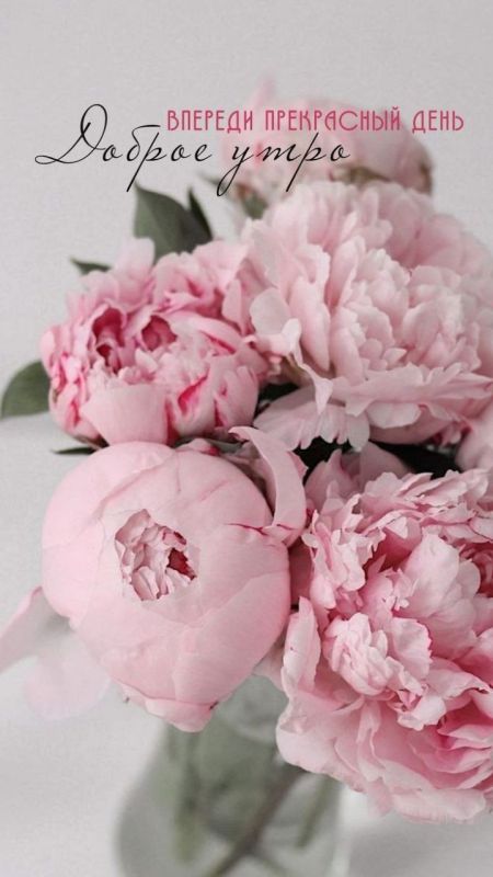 ������ ����. ������� � ������� ���� � ������ ���� ������� ���� �����, � ������� ������ ����� ���������� � ����� ��������. ��� �������. ����������� �� +18 ����� �� +31 ���