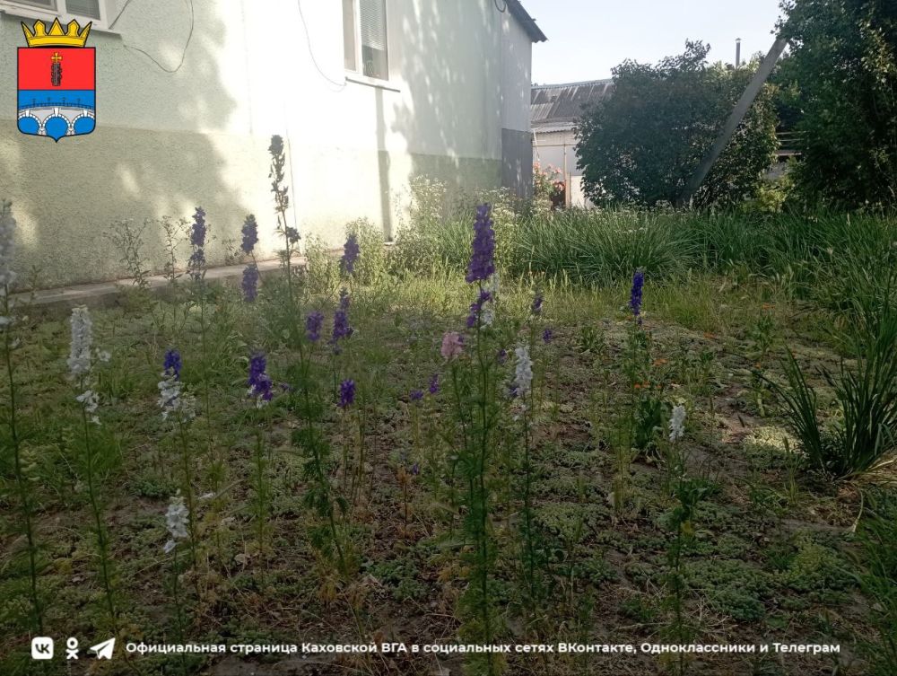 ������ ����, ������ ���������� �������������� ������!