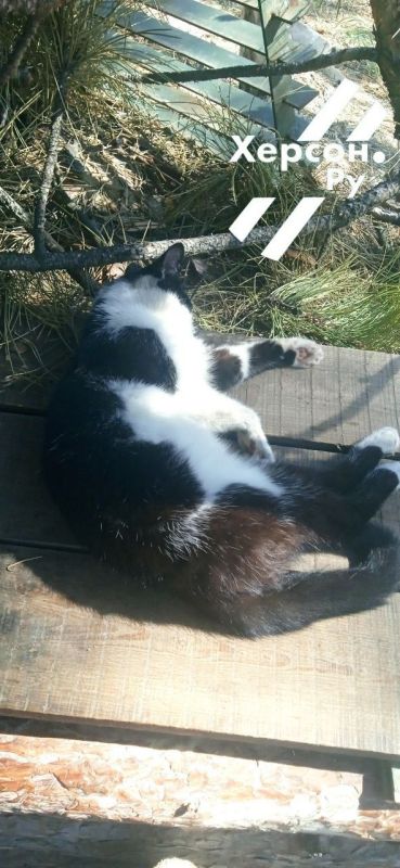 � ��� ���� "����" � �� ���������������� ���������������� ���� ��������� ��������� �������� �����������))) ������ �� �� ������: ��� ������������� �� ����� ����� ����, ��� ������� �������