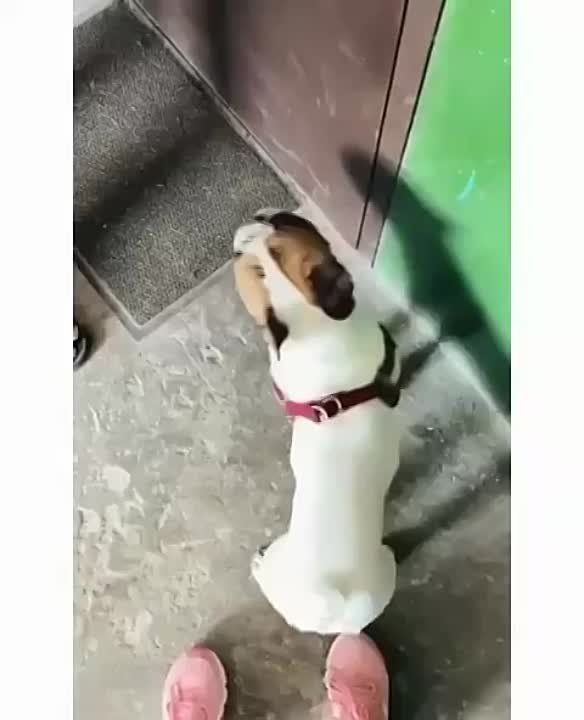 ��������� ������. ��������� ����! ��������-����� ���������� �������