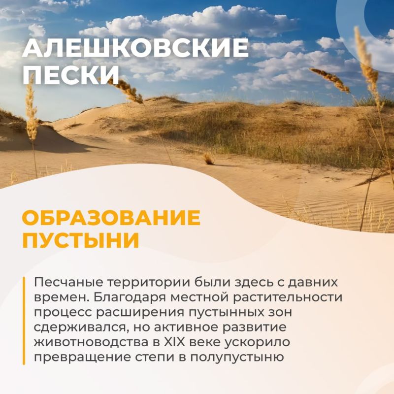 ����������� �����: ���������� ������� � ������ ����������