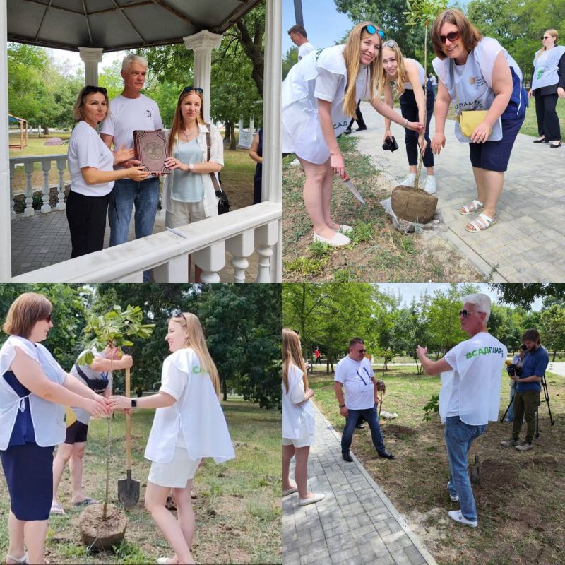 � ���� ������� � ��������� �������� 15 �������� �������