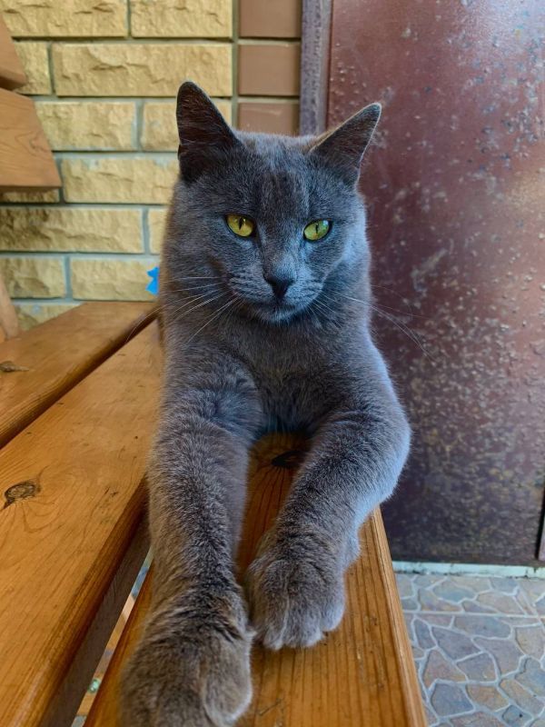 ����� ����������: �����������, ��� ������� #��84 ������