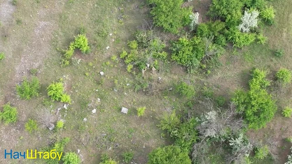 ���������� ������ ��������� ����� � ����������, ����������� ������ �� �����