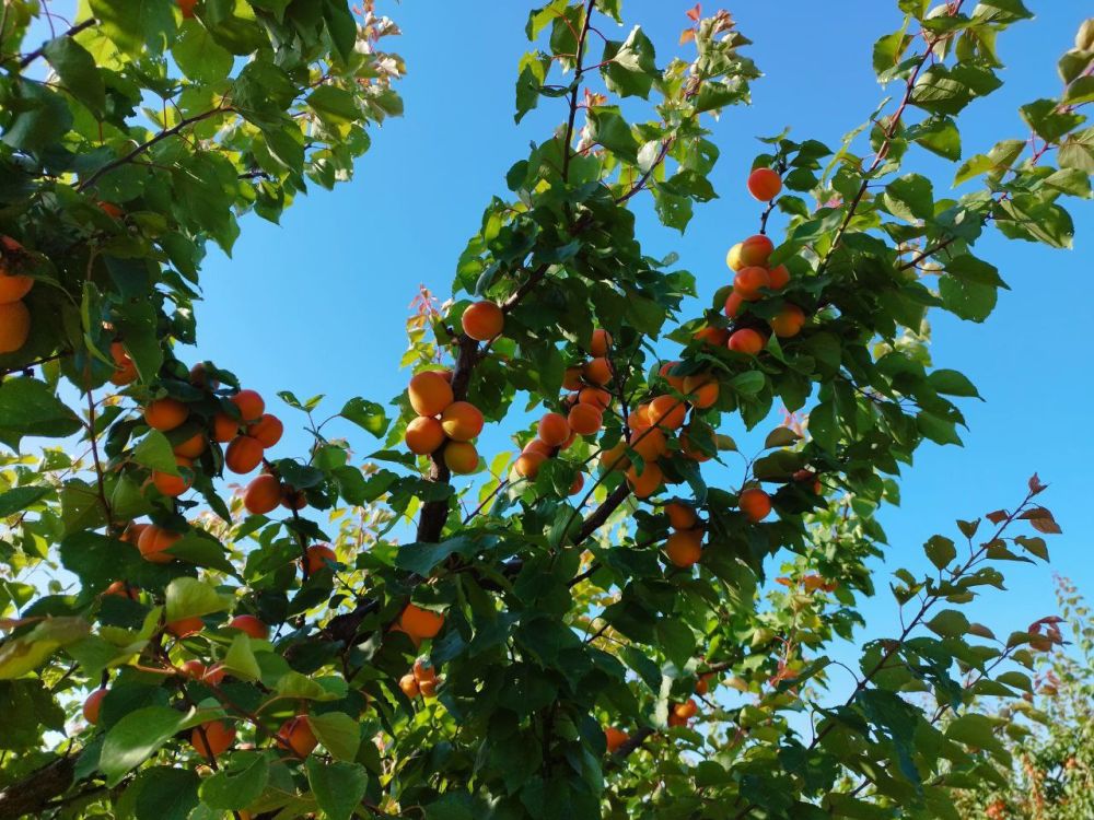 � ������������� ��������� ������ �������� ������ ���������