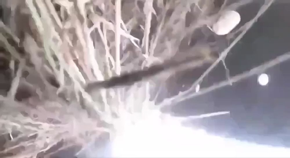 ��������� �������: ������ ����������� �������� ��� �� ������� ����