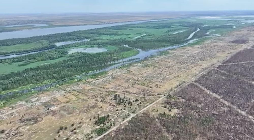 ����� �����: ��� � ������� �� �����, ��� �����-�� ���� ������