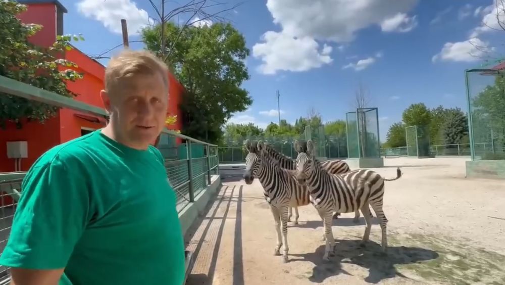 � �������� ������-����� �������� ���� �� ���������� ������� ����� ���������