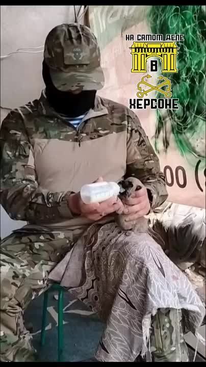 ����� ����� �����. ���� ���� �������, � ���������, ������ ��� �����. �� ���� ����� ����� �� �������! �� ���������� �����: