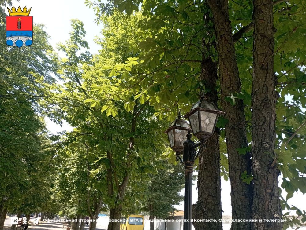 ������ ����, ������ ���������� �������������� ������!