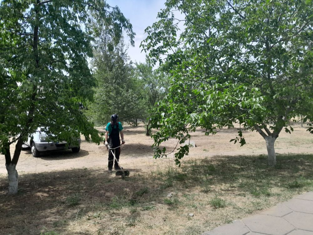 ������������� ������������� ������ ������� ���������� � ������������� ������������� � � ���� ��������