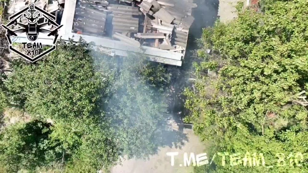 ����������� ������ ���������� ���������� ���������� ���� � ���������� ������� ��������� 810-�� �������