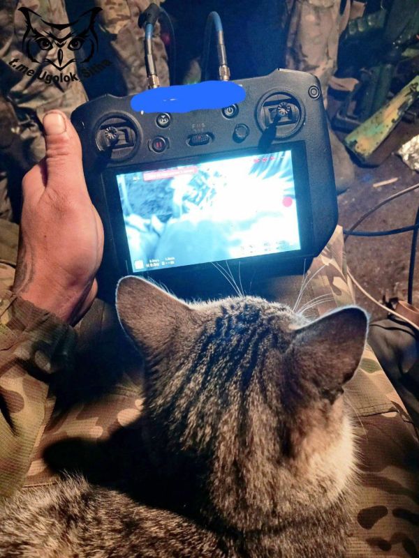 ����� ���������� ������ ������ ����������� ��������� ���� � ��� ������� ���������