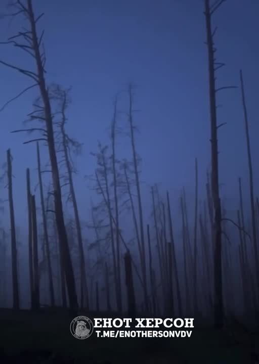 �������� ������ ������