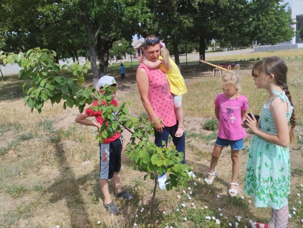 ������ � ������� ����� ��������� � �������