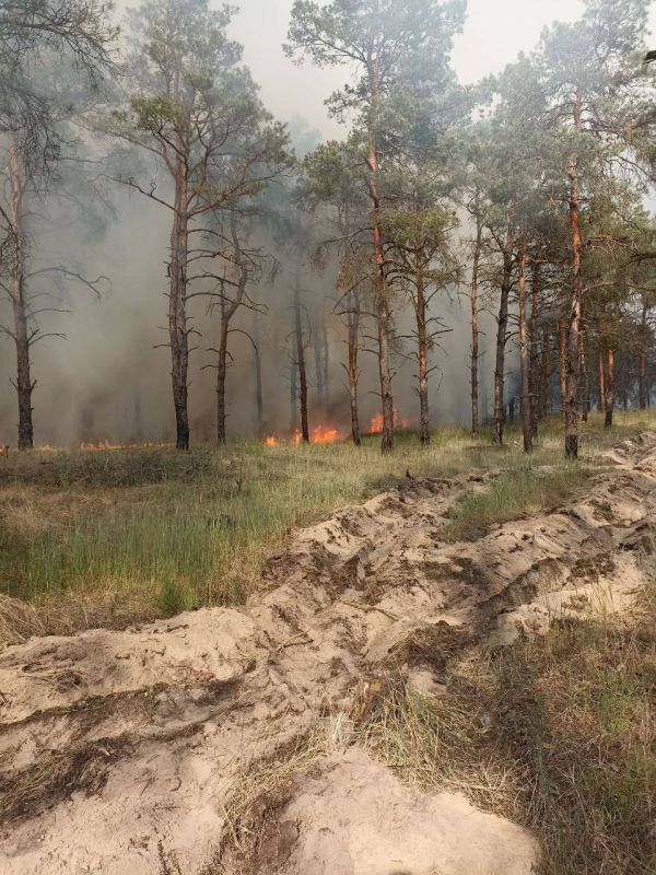 ��� �� ���������������� ������������� ��������� ���������� ������ � ������� ��������