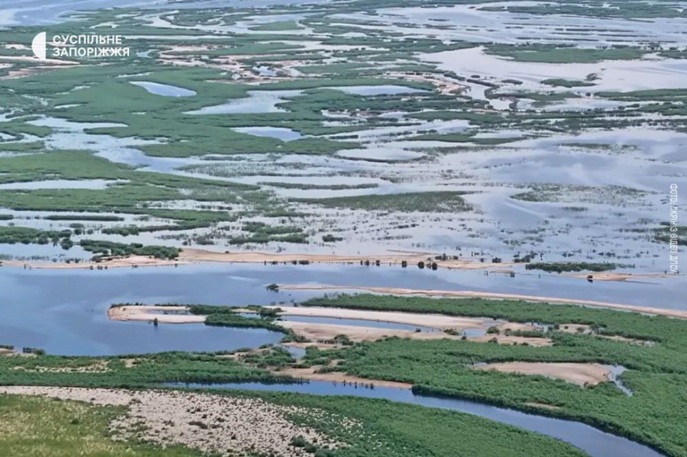 ��������� �������������. ��� ������. ��������