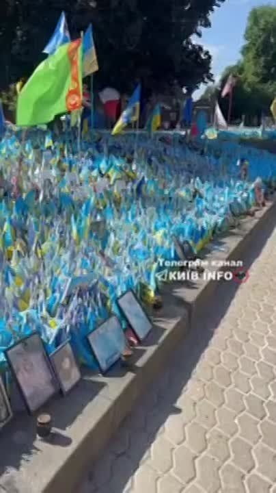 ����� ������������ �������� ������� � �����