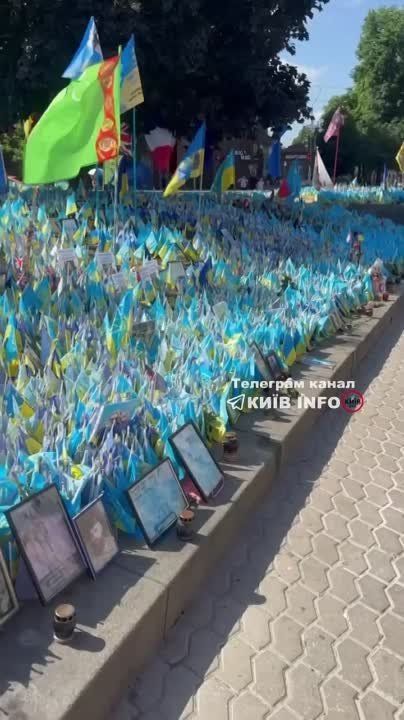 �������� ����������� � �������� ��������