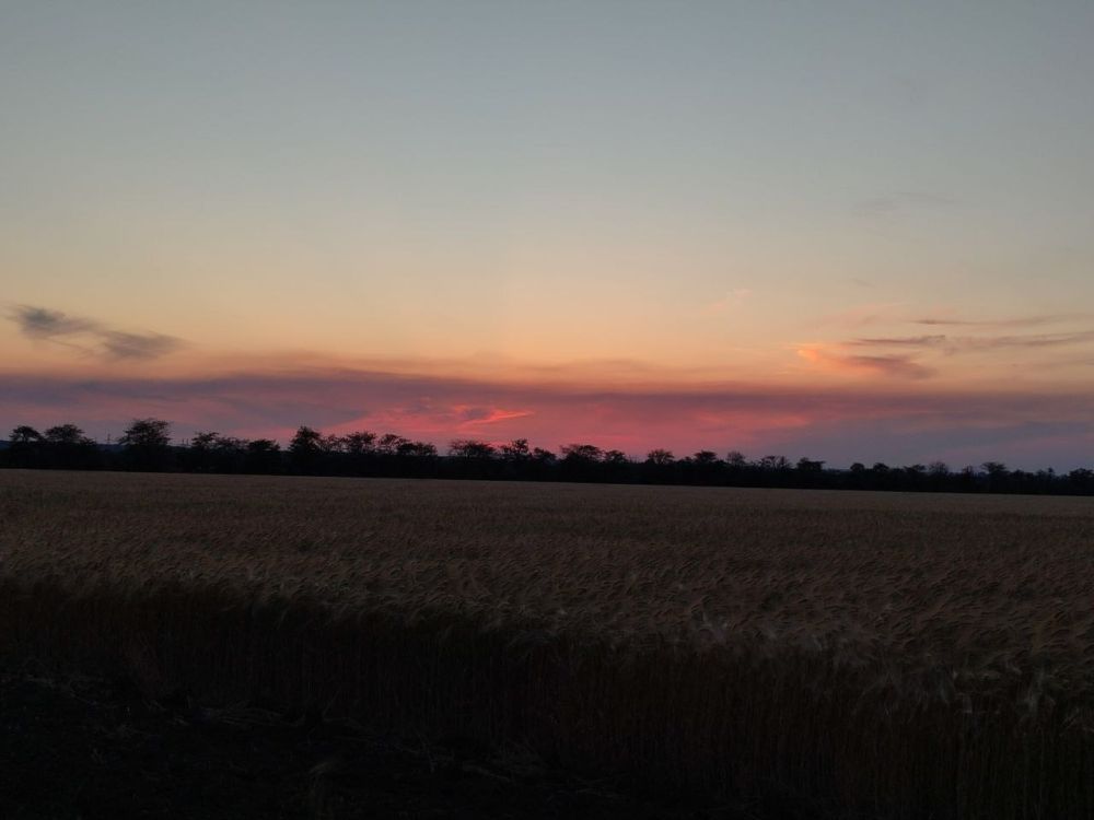 ���� ������� ������� �������