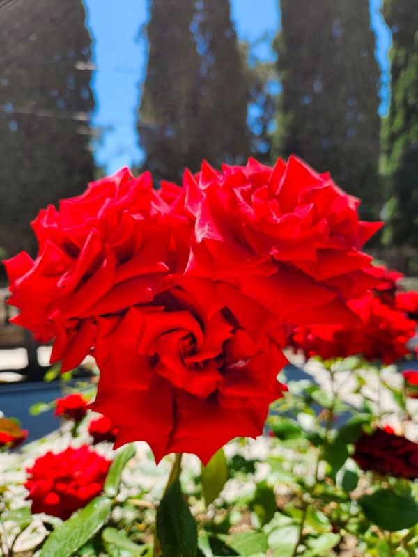 ����������� ����� � ������� ������ ��� � ����� ���