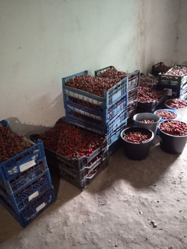 ������ � ��������� ������������� ����� ��������� � ������������� ����-����