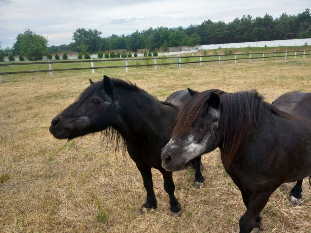 ���������� ��� ������������ ��������� ������������ ����� ���������� �������� � ������ �����! ��� ����� ����� � ��������������