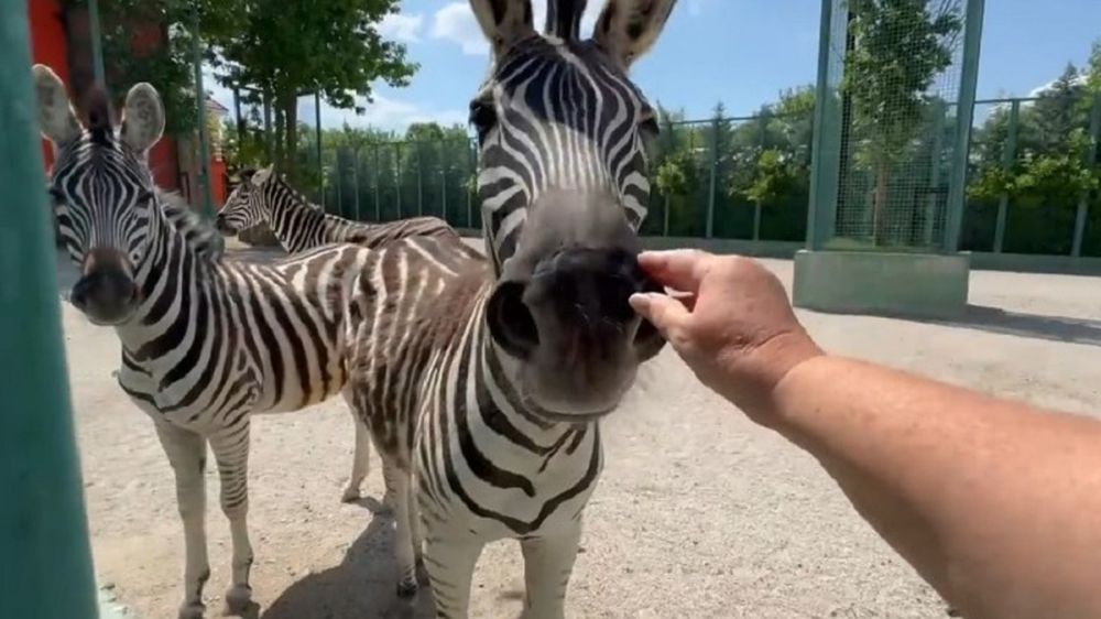 ��������� � ����� �� ��� ������: � ���������� ���� � �������� ���������� ��������