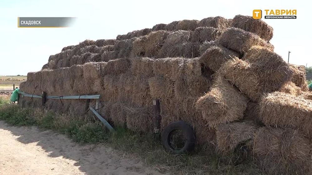 � ��������� 15-������ ��������� ���� �� ���� ��������������� �� �������