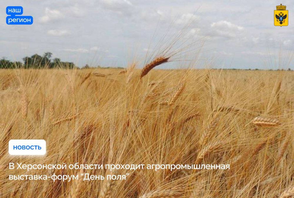 ���������� ����� �������� ������������� ����-������������� ��������� �� ������ �������� ������