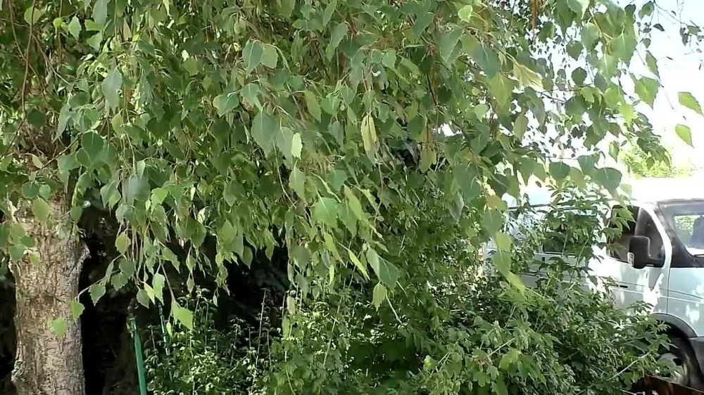 �������� �� ���������� ������� �������� �� �������� ��������������� � �������� ���������