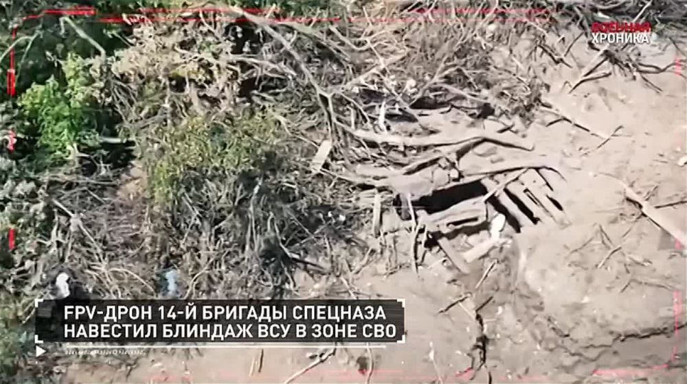 ����� �������� ��������� �� 7 ����